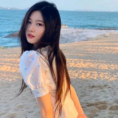鲨鱼的儿子